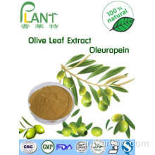 مستخلص أوراق الزيتون HPLC Oleuropein 20٪ 98٪